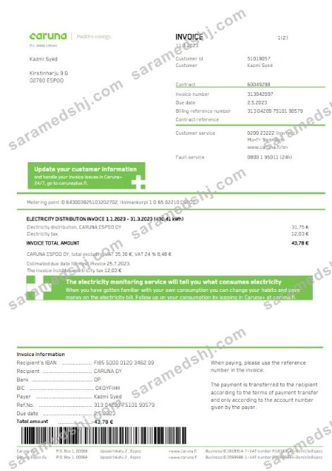 FINLAND CARUNA utility bill Word and PDF template